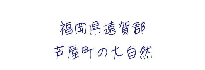 タイトル